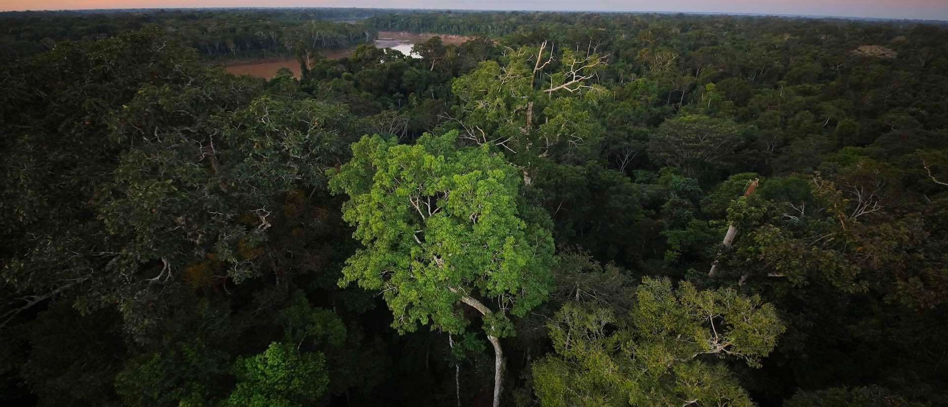 Peru Amazon Jungle Tour