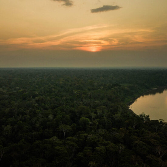 Amazon Expedition Rainforest Tour in Peru